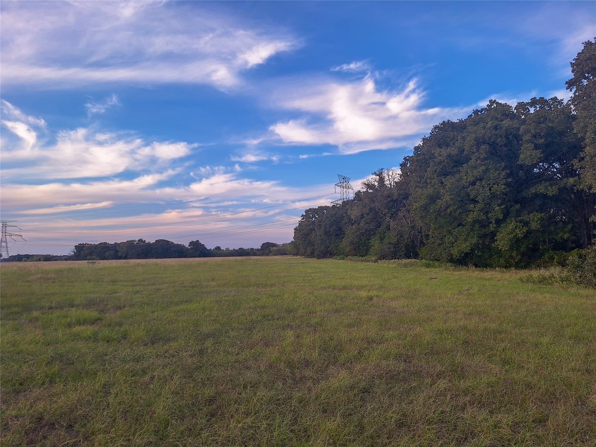 17 acres in Henderson County - photo 8