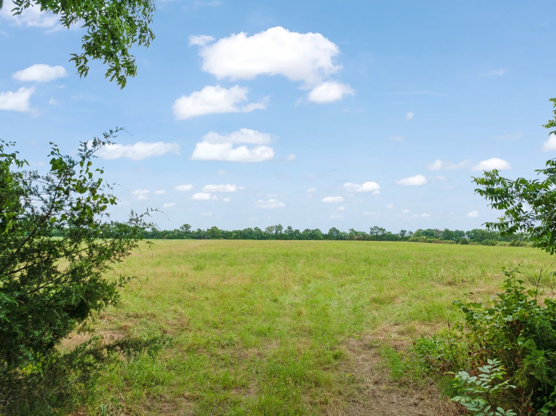 18.16 acres in Lamar County gallery image 2