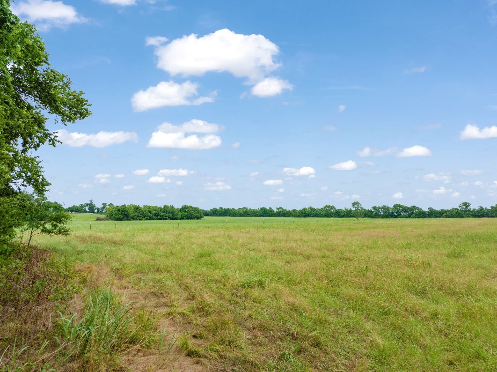 18.16 acres in Lamar County gallery image 3