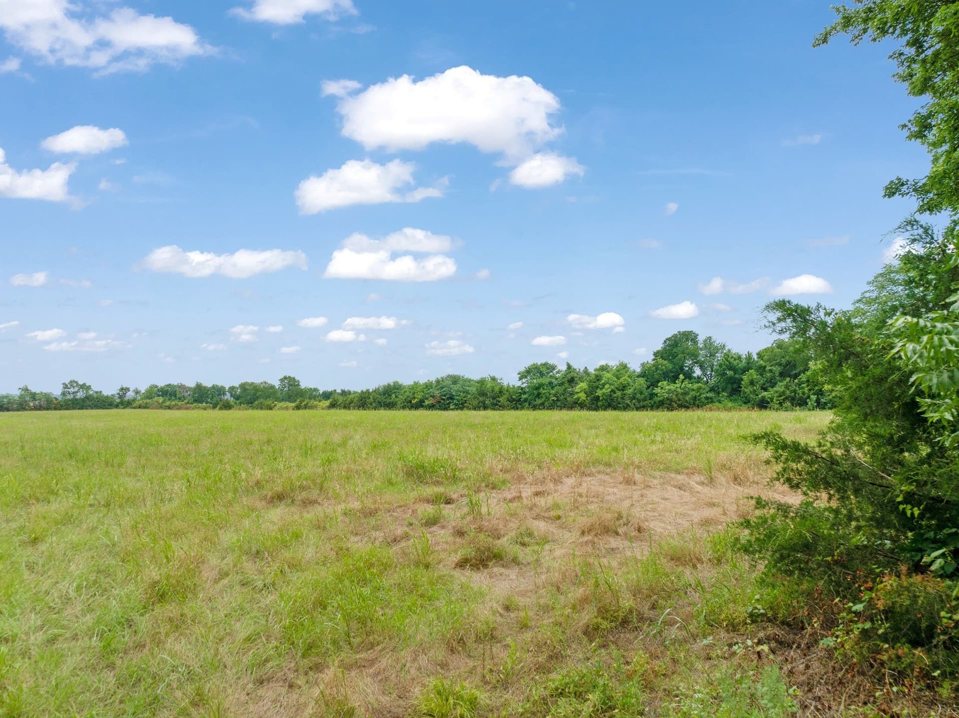 18.16 acres in Lamar County gallery image 4