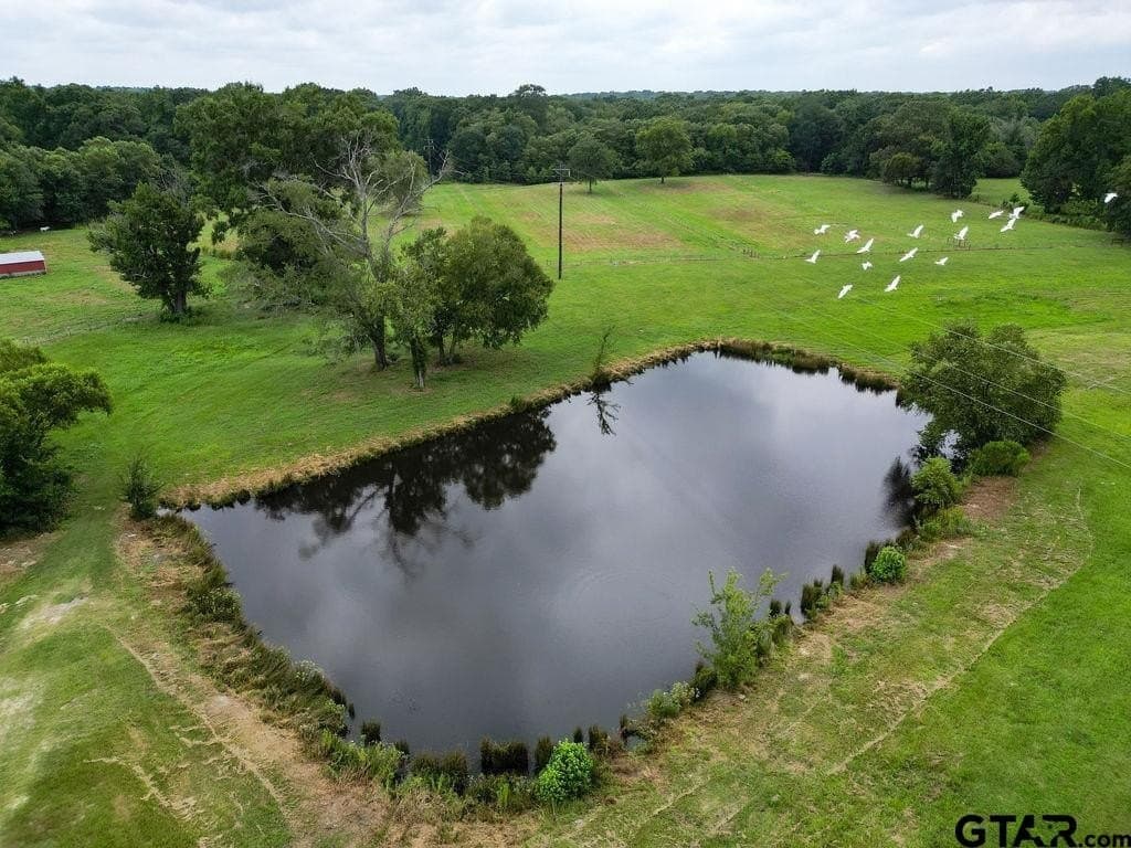29 acres in Wood County - photo 22