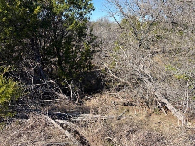 5.02 acres in Palo Pinto County - photo 9