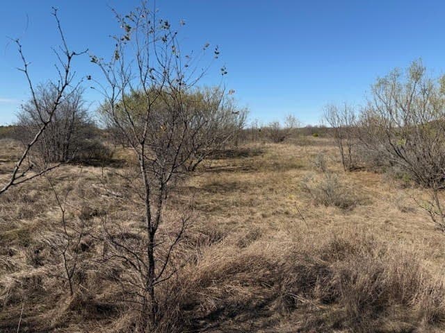 5.02 acres in Palo Pinto County - photo 11