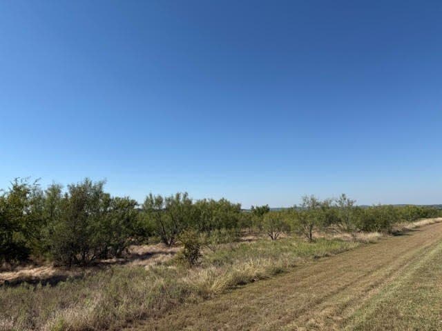 5.02 acres in Palo Pinto County - photo 15