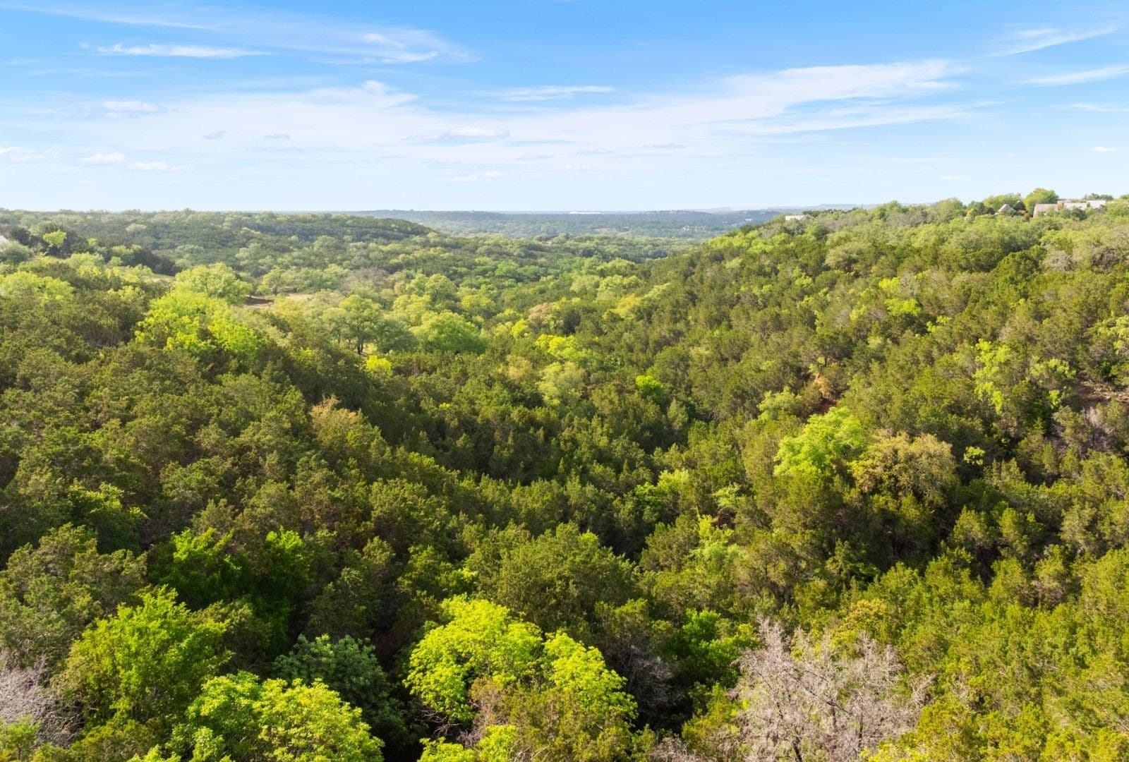 9.45 acres in Burnet County - photo 19
