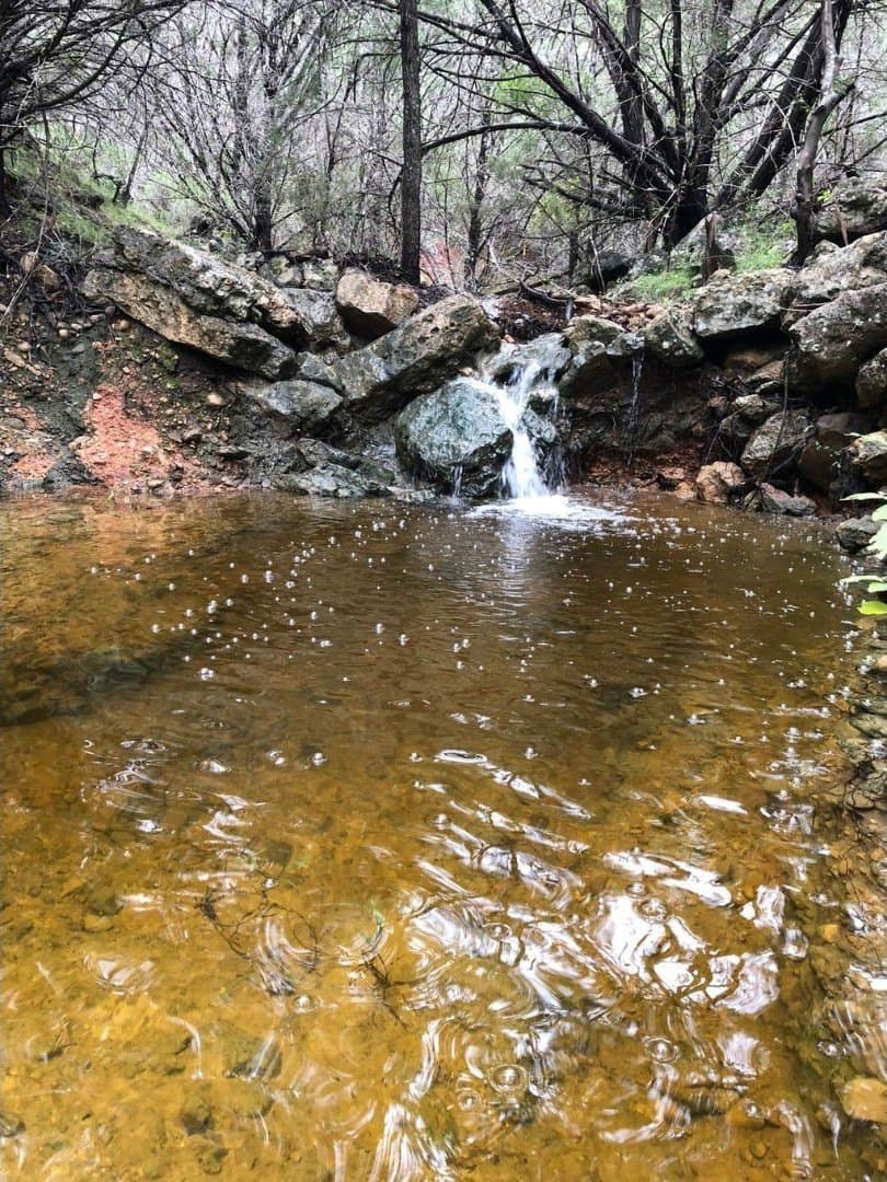 9.45 acres in Burnet County - photo 35