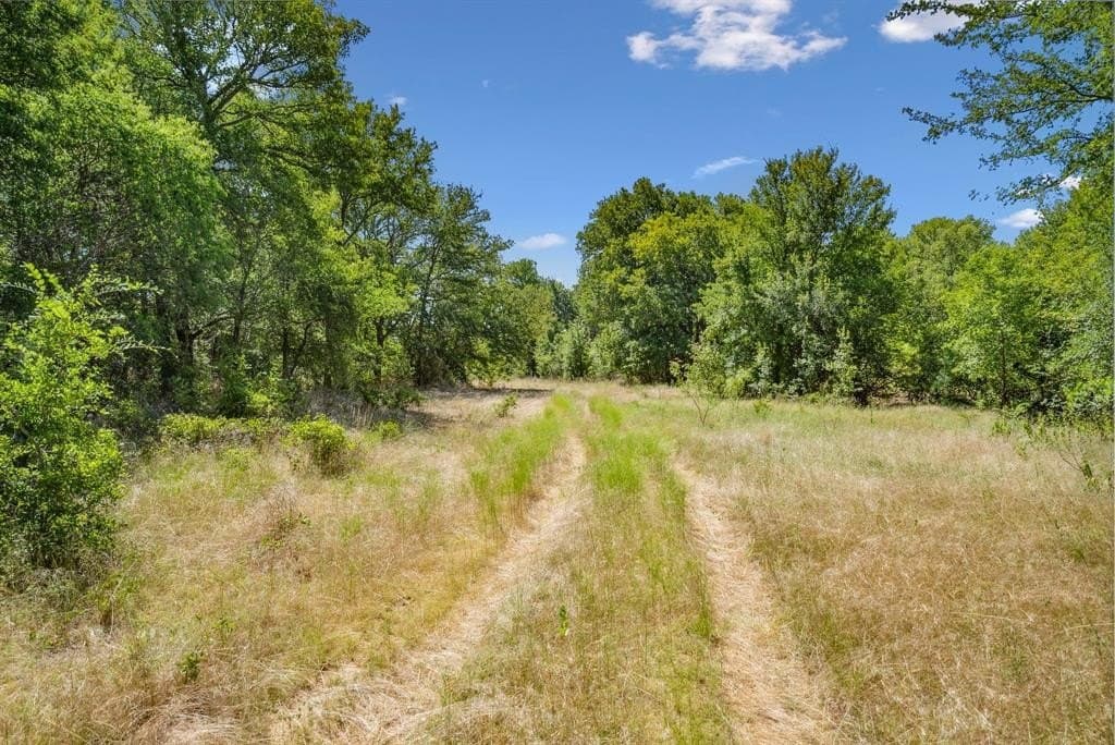 172 acres in Jack County featured view