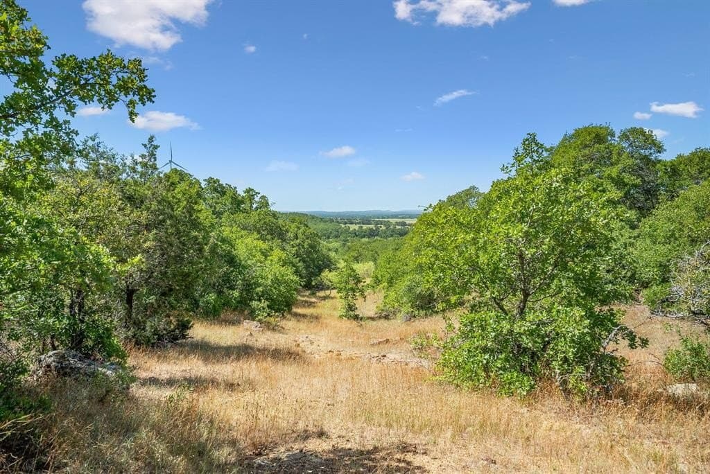 172 acres in Jack County gallery image 4