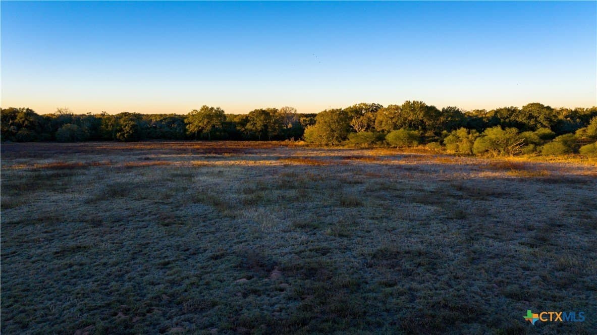 20.5 acres in DeWitt County gallery image 4