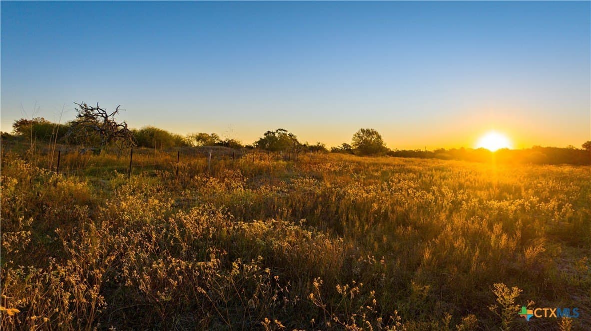 20.5 acres in DeWitt County gallery image 2