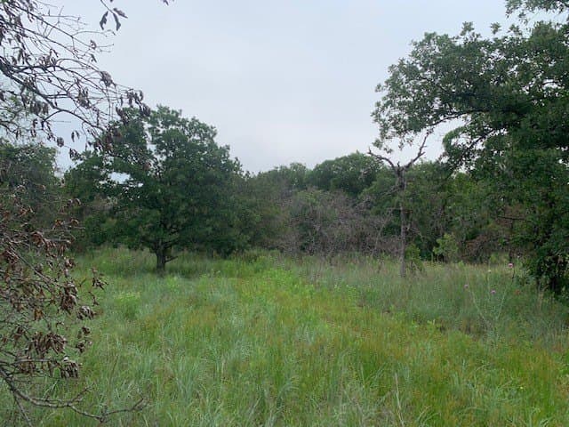 3.78 acres in Parker County gallery image 2