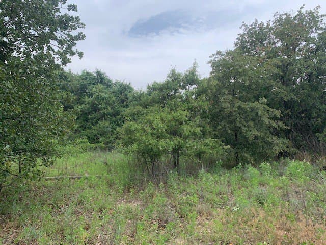 3.78 acres in Parker County - photo 6