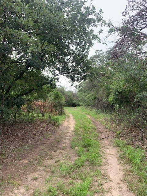 3.78 acres in Parker County featured view