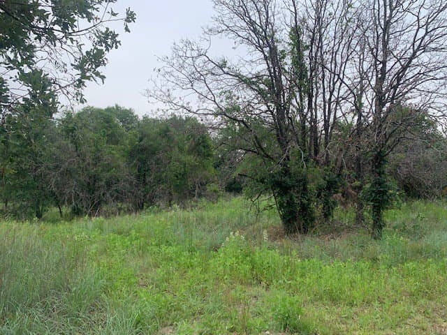 3.78 acres in Parker County gallery image 3