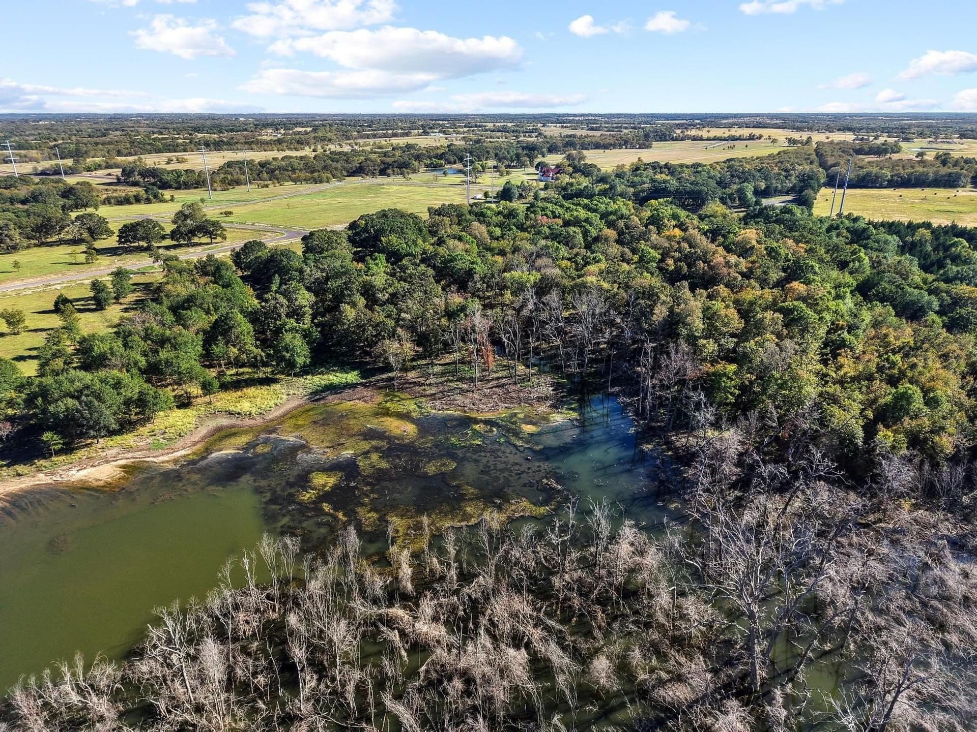 3.5 acres in Fannin County - photo 16