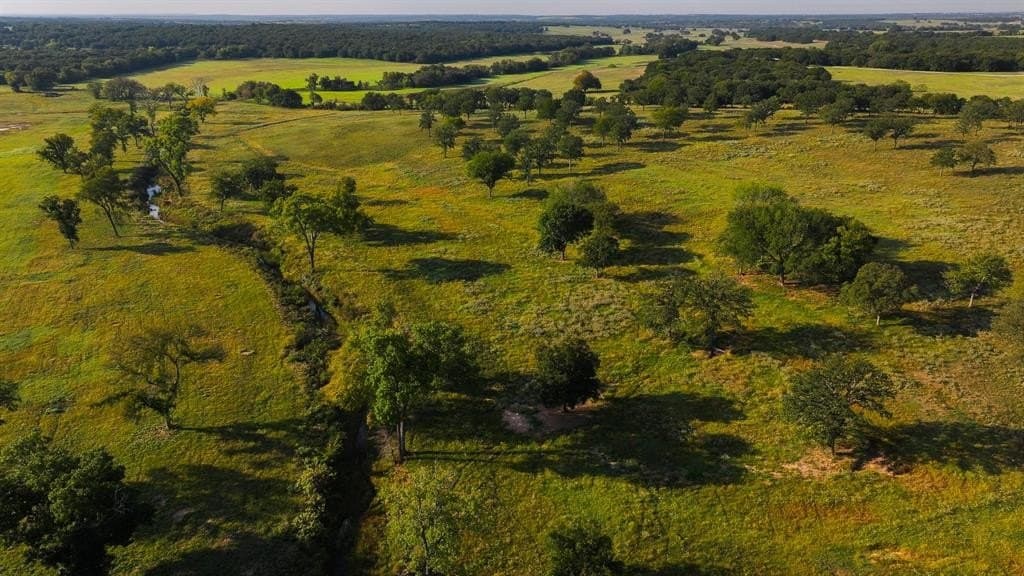 277 acres in Montague County gallery image 4