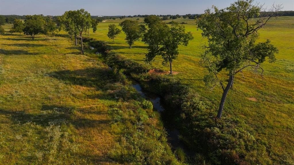277 acres in Montague County gallery image 3