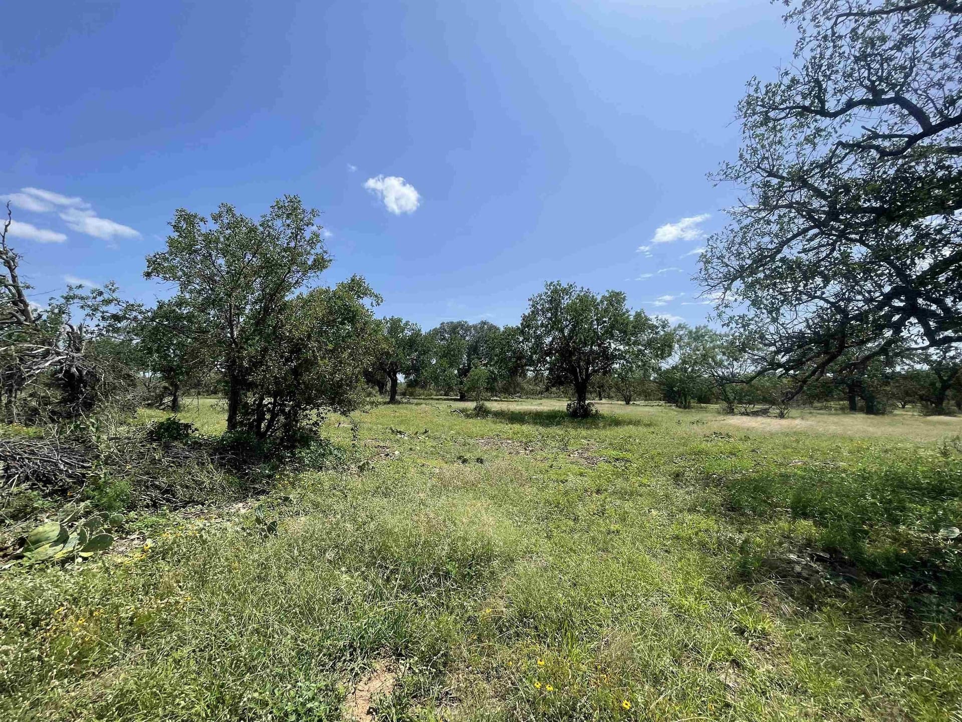 10.68 acres in Burnet County