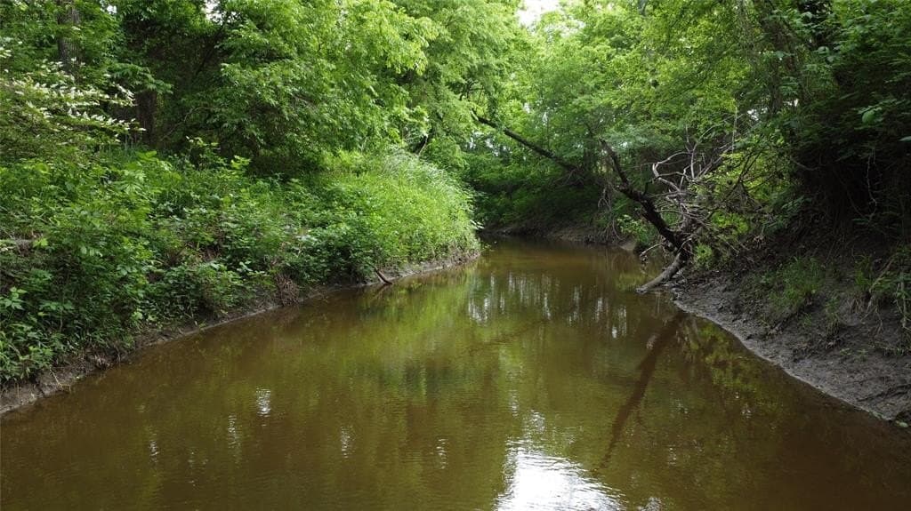 125.93 acres in Hunt County gallery image 2