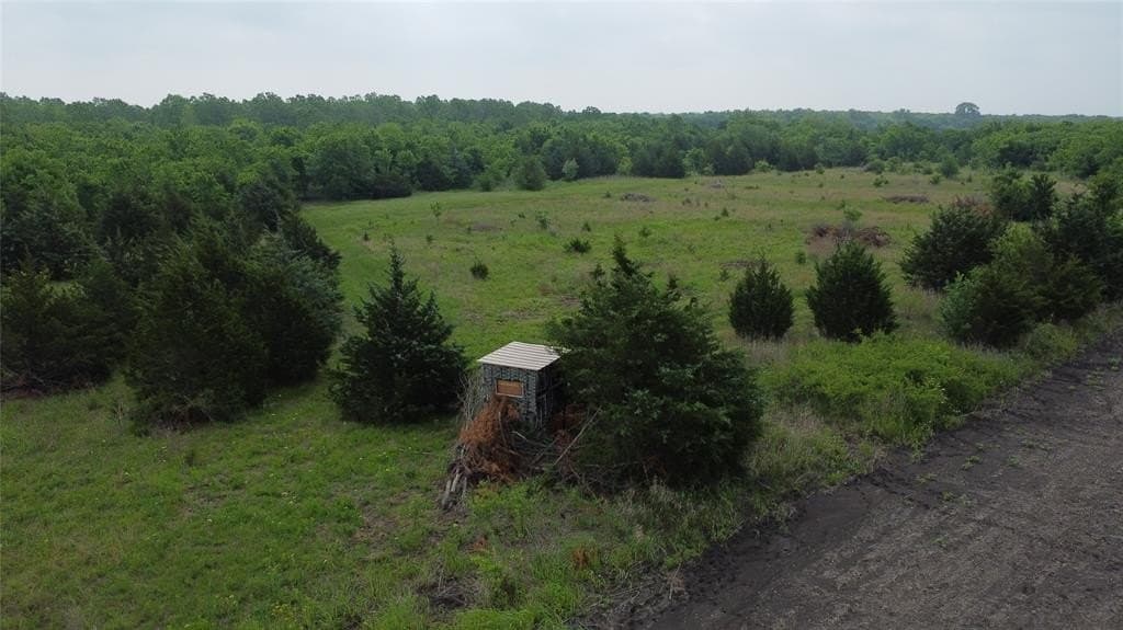 125.93 acres in Hunt County gallery image 4