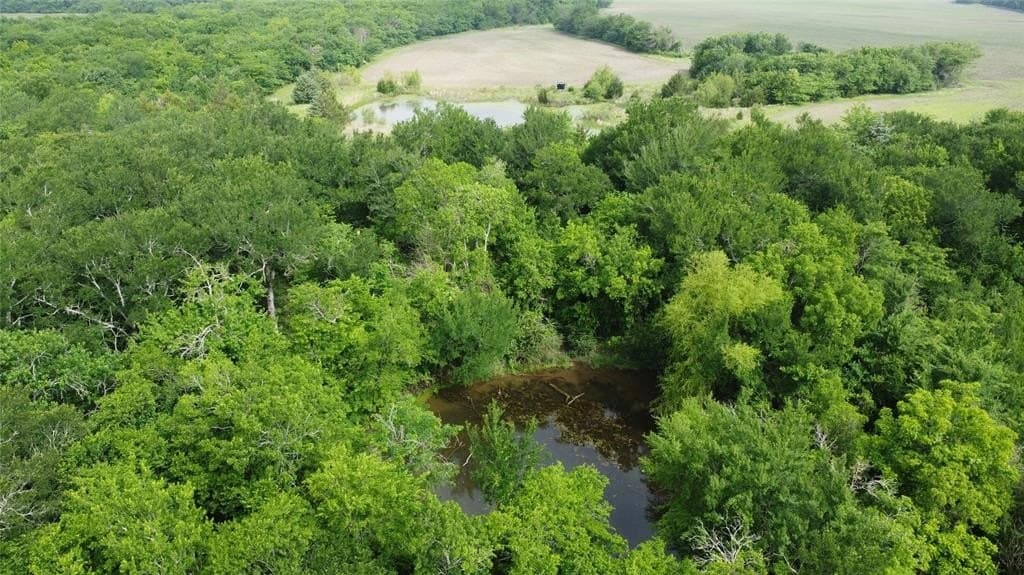 125.93 acres in Hunt County featured view