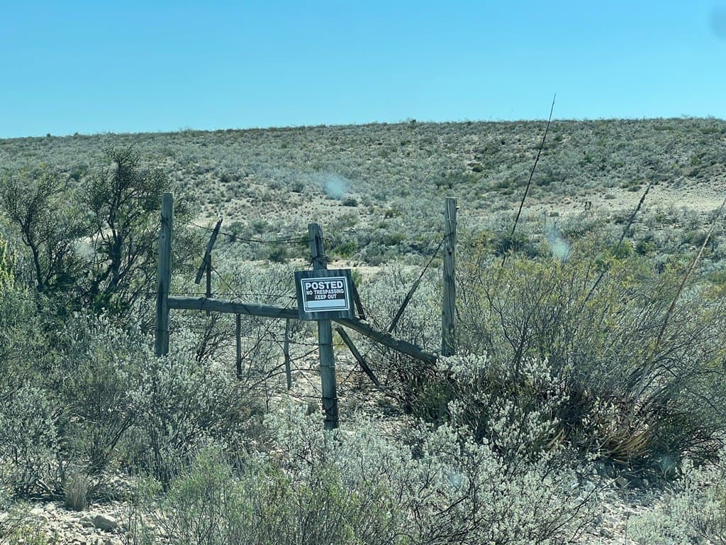 250 acres in Terrell County gallery image 2