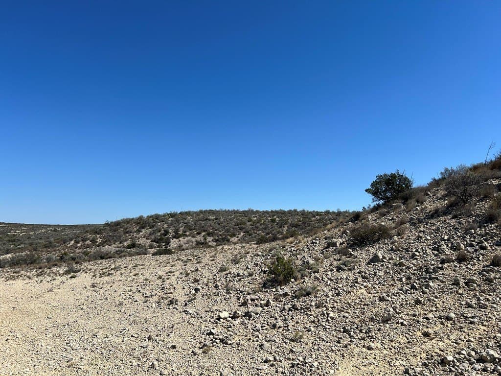 250 acres in Terrell County gallery image 4