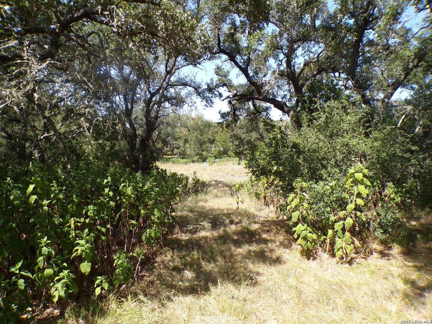 1.18 acres in Comal County - photo 2