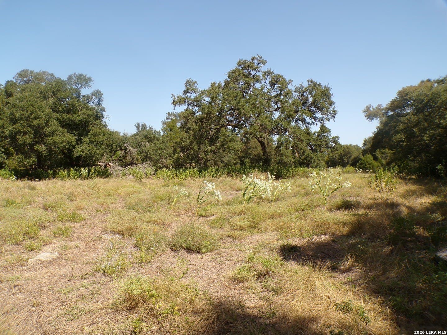 1.18 acres in Comal County - photo 6