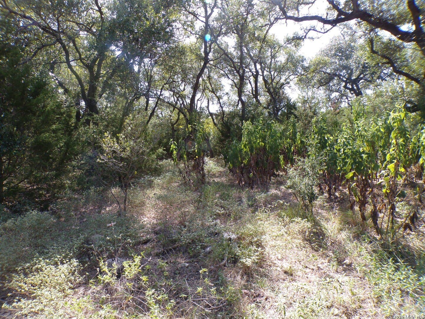 1.18 acres in Comal County - photo 9