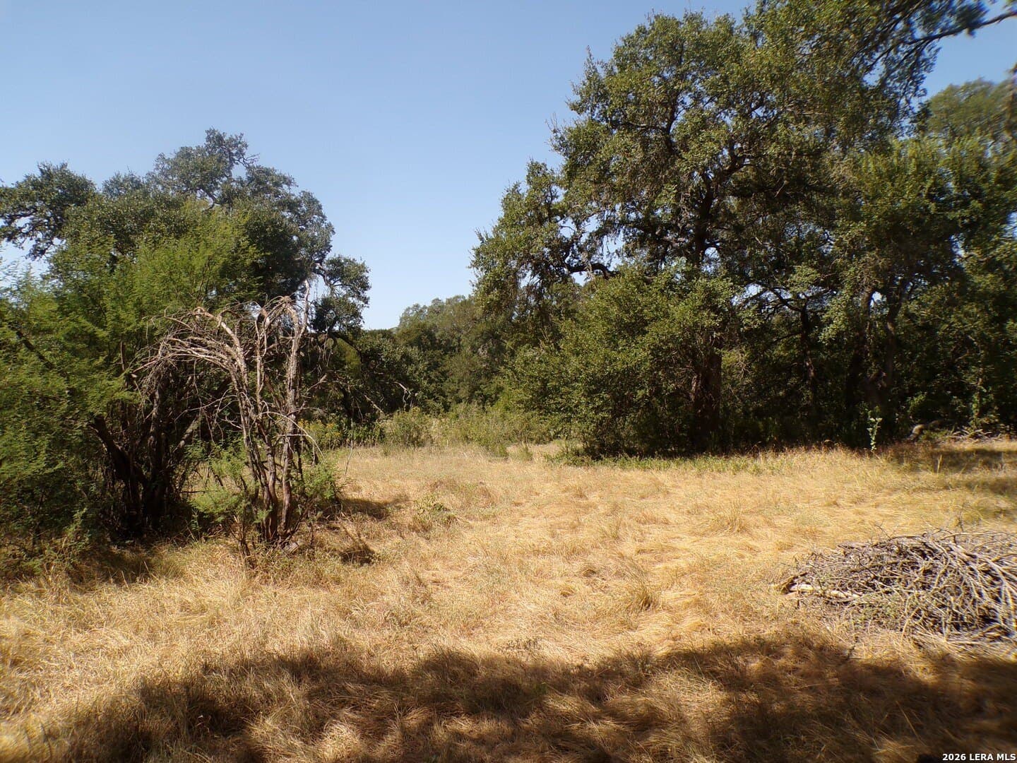 1.18 acres in Comal County - photo 13