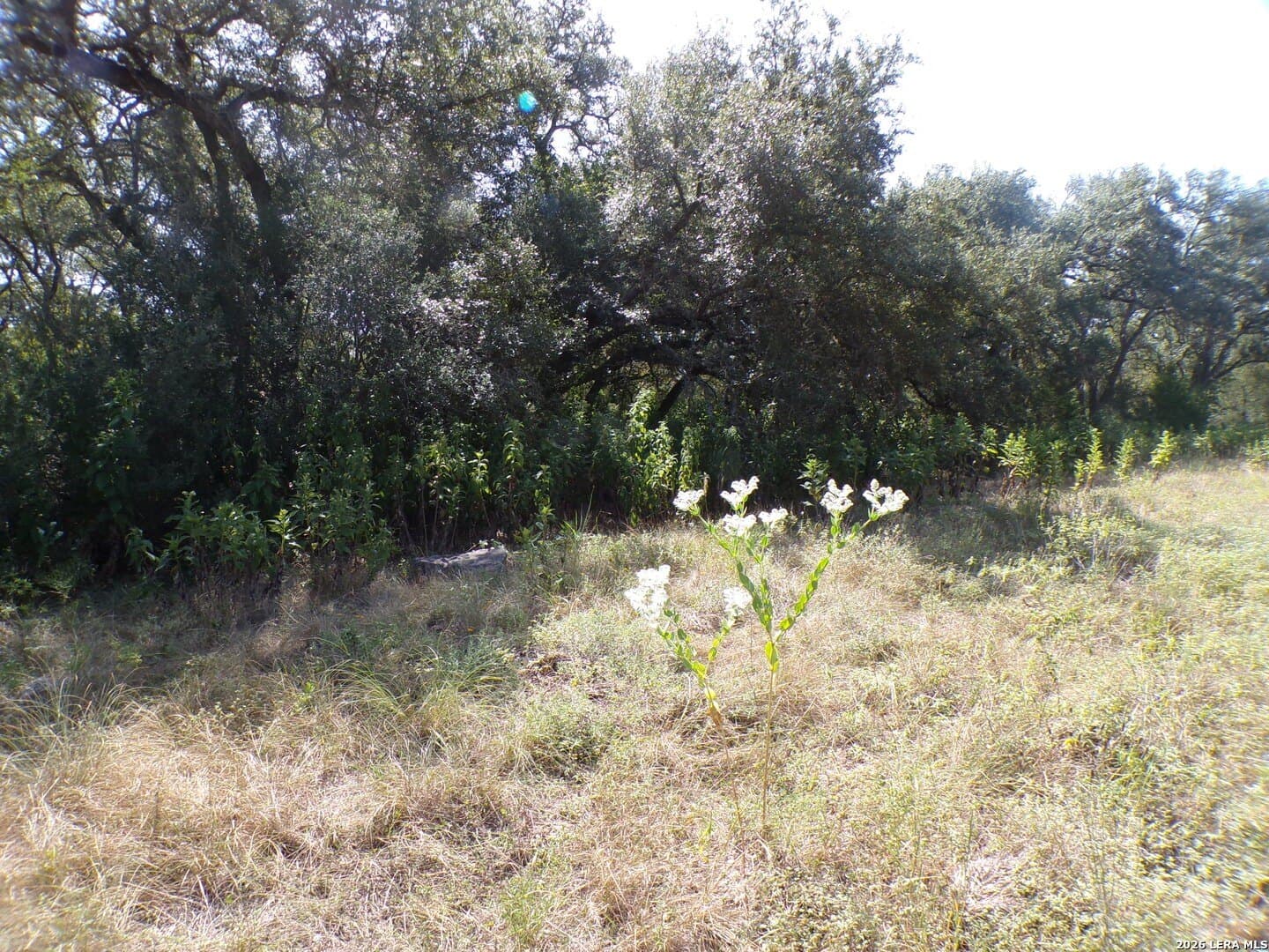1.18 acres in Comal County - photo 7