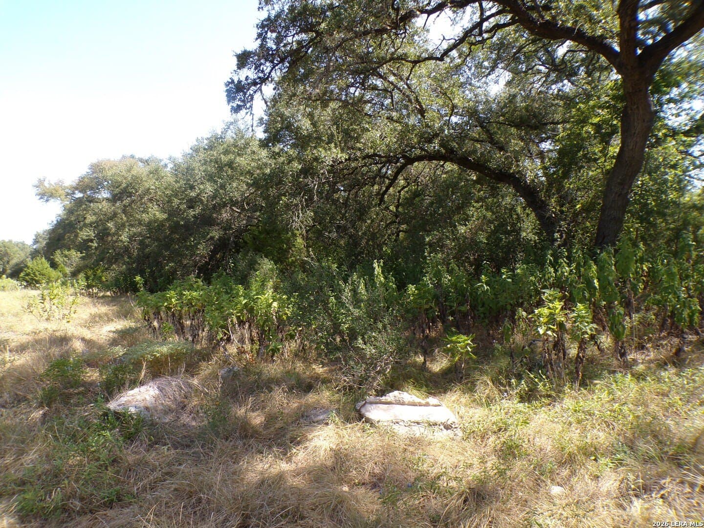 1.18 acres in Comal County - photo 5