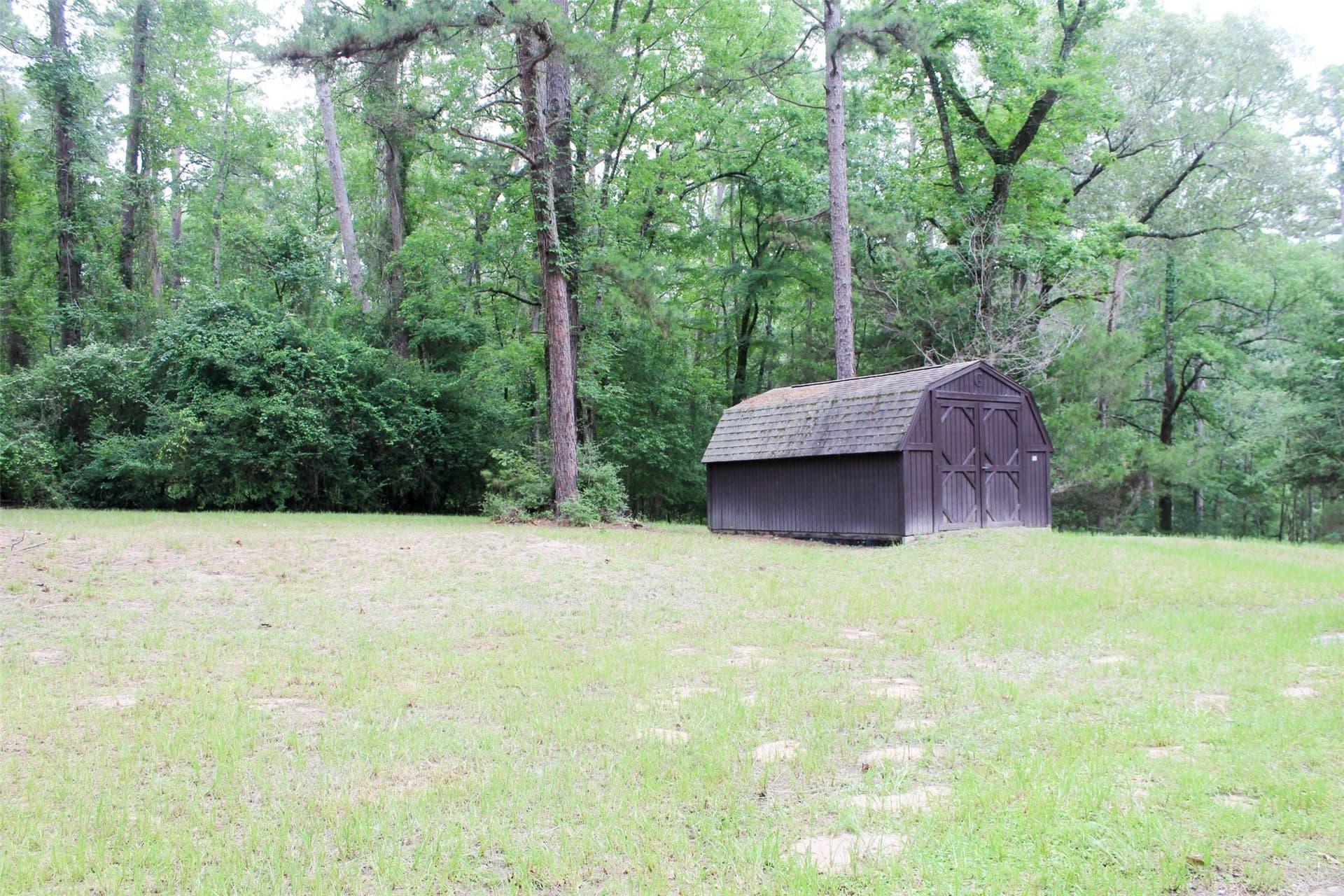 55 acres in Houston County gallery image 4