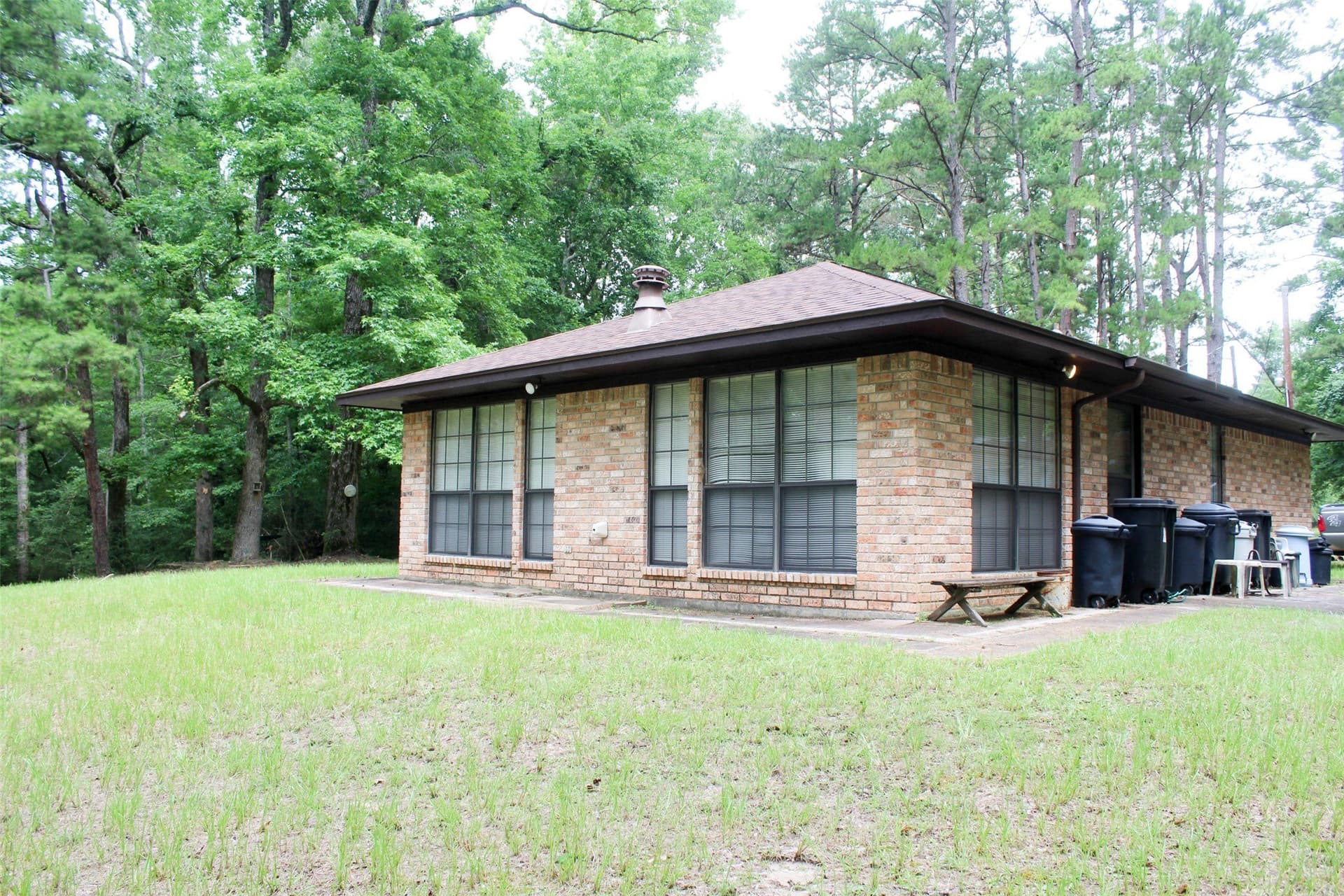 55 acres in Houston County gallery image 3