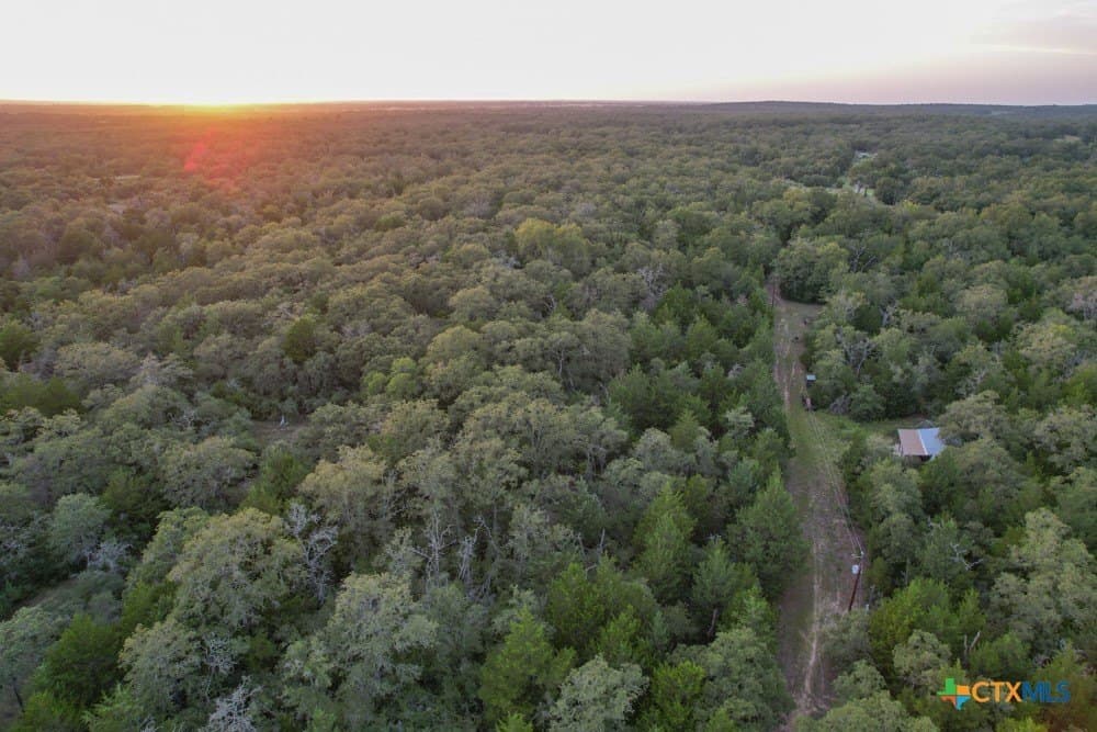 38.5 acres in Milam County gallery image 3