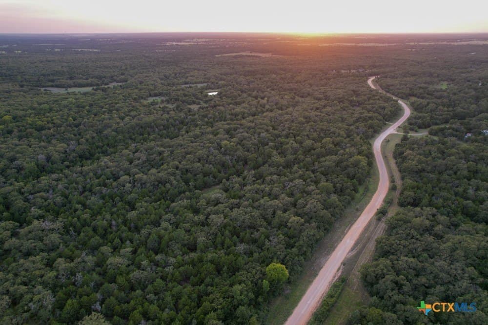38.5 acres in Milam County gallery image 4