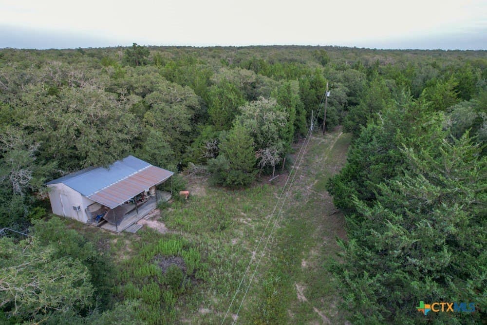 38.5 acres in Milam County gallery image 2