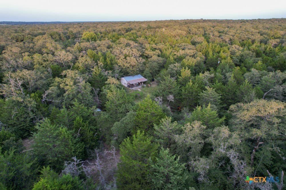 38.5 acres in Milam County
