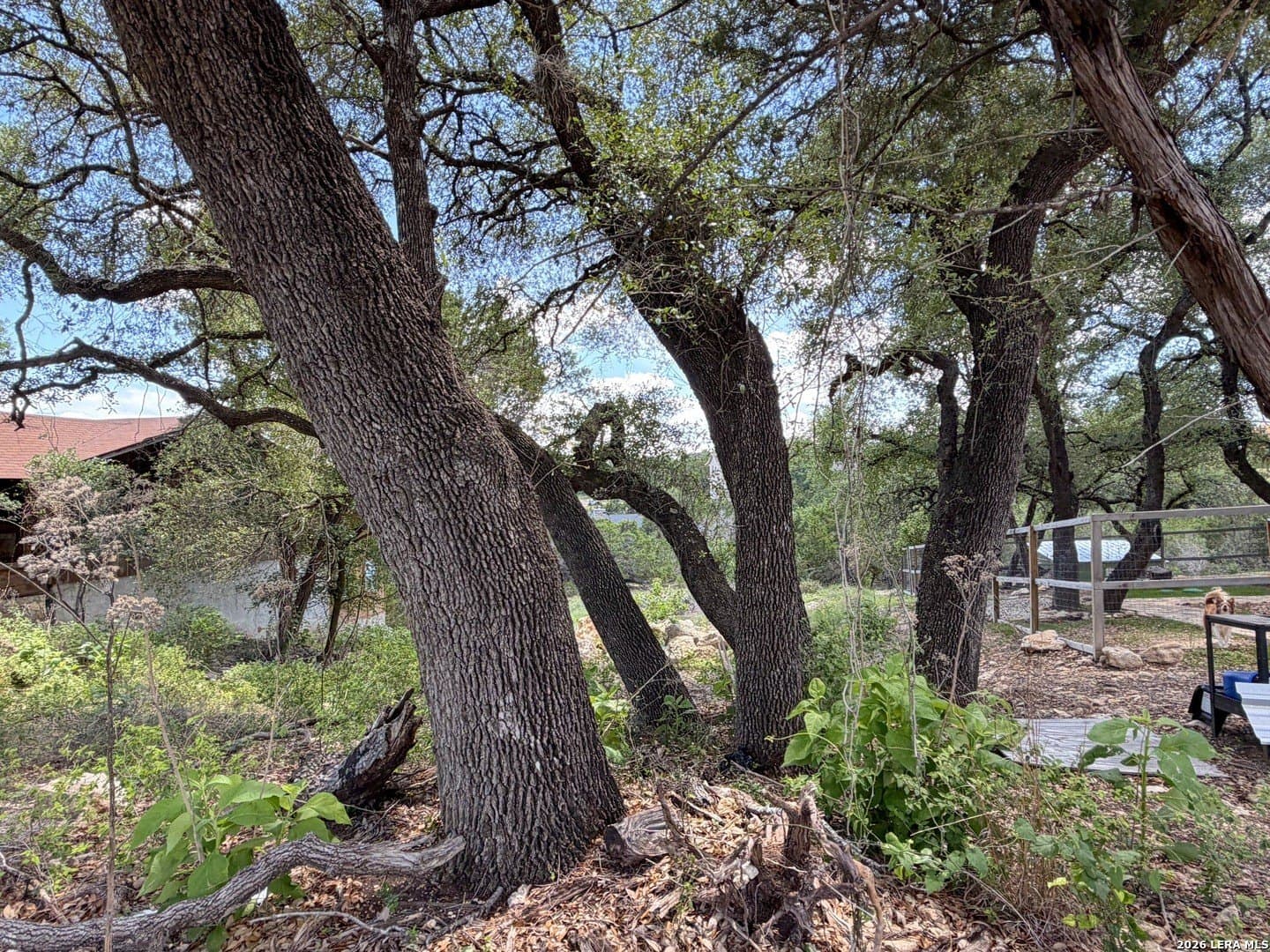 0.3 acres in Comal County - photo 12