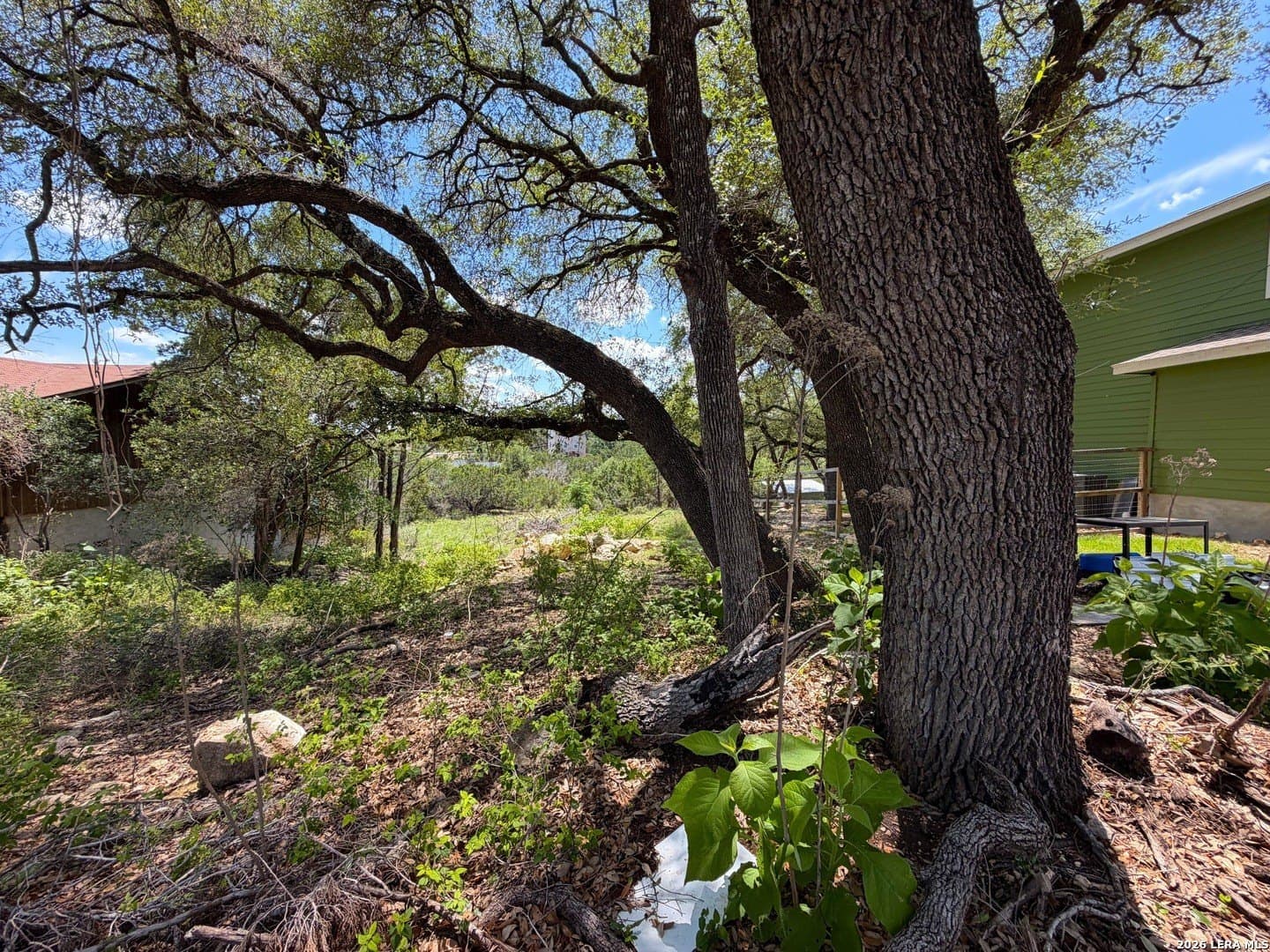 0.3 acres in Comal County - photo 13