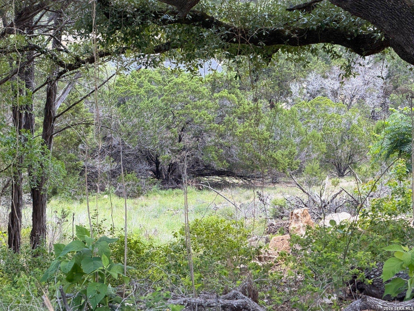 0.3 acres in Comal County