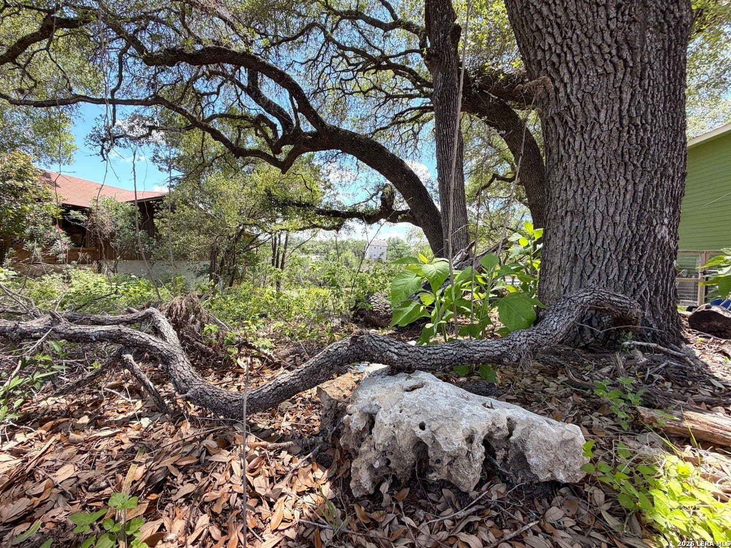0.3 acres in Comal County - photo 11