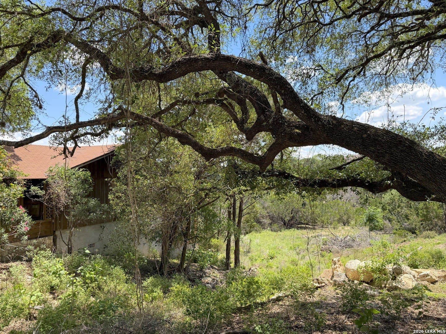 0.3 acres in Comal County - photo 4