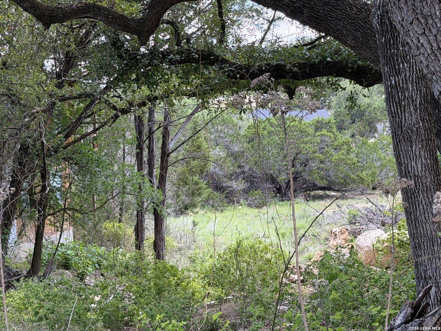 0.3 acres in Comal County - photo 15