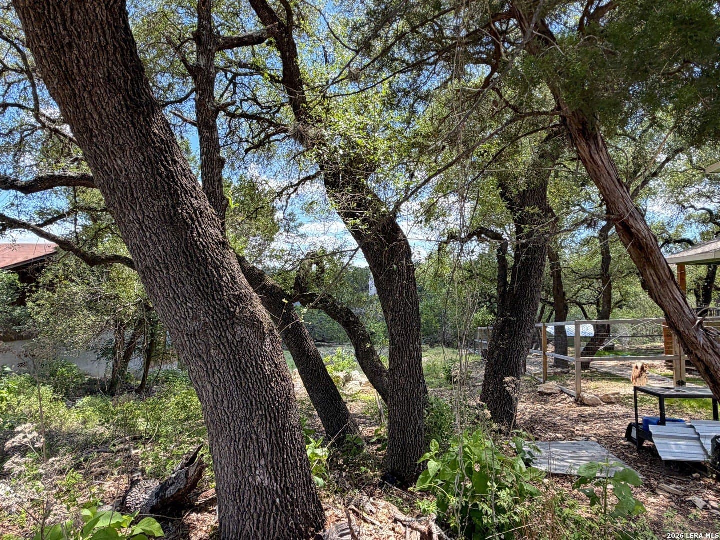 0.3 acres in Comal County - photo 3