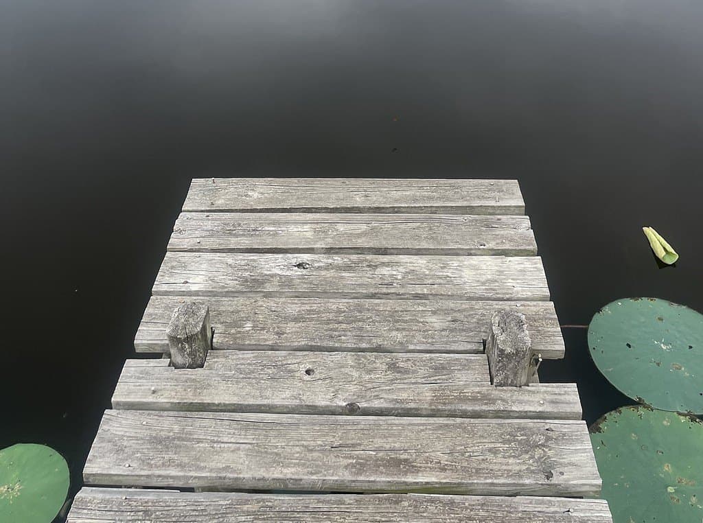 33.43 acres in Lavaca County gallery image 4