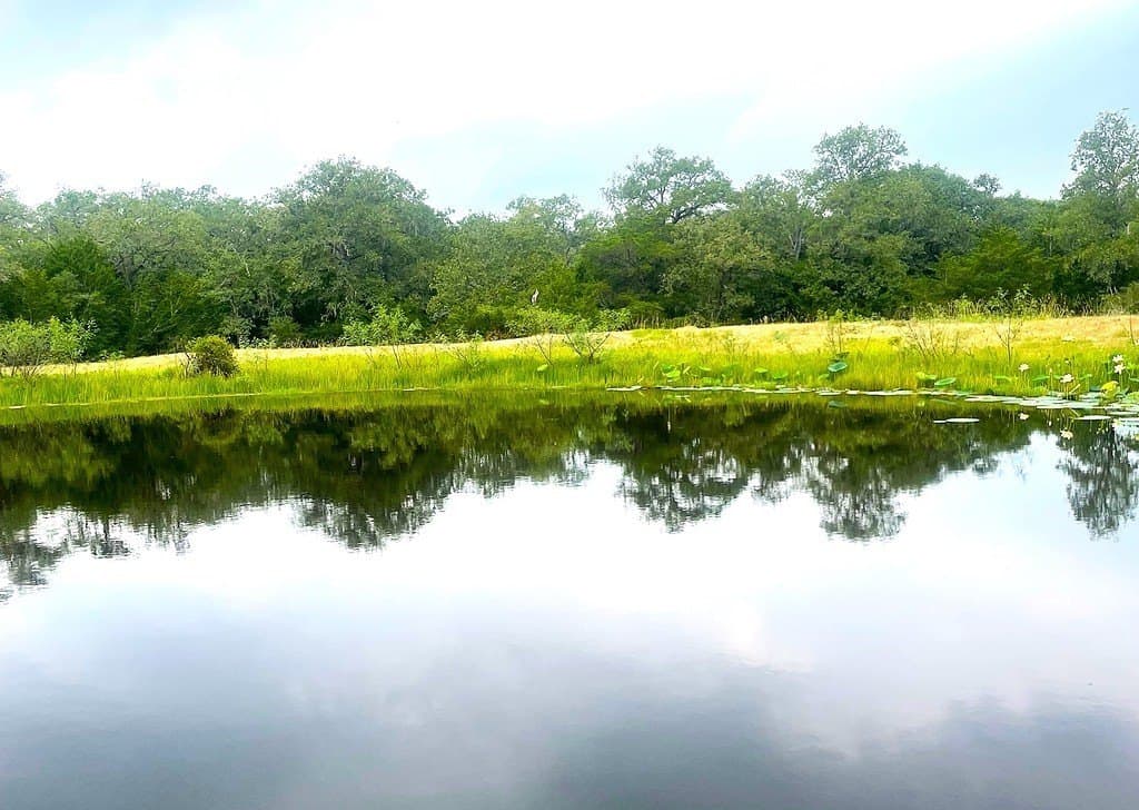 33.43 acres in Lavaca County gallery image 2
