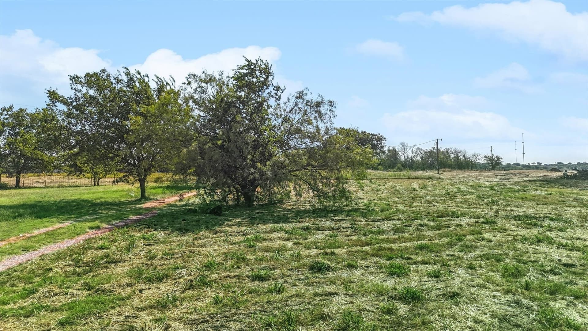 15.07 acres in Denton County gallery image 4