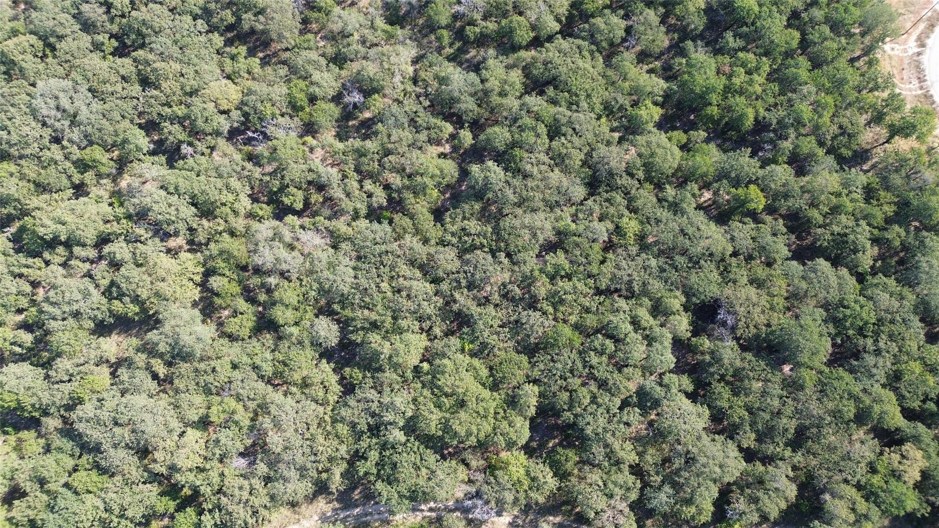 2.31 acres in Hood County - photo 5